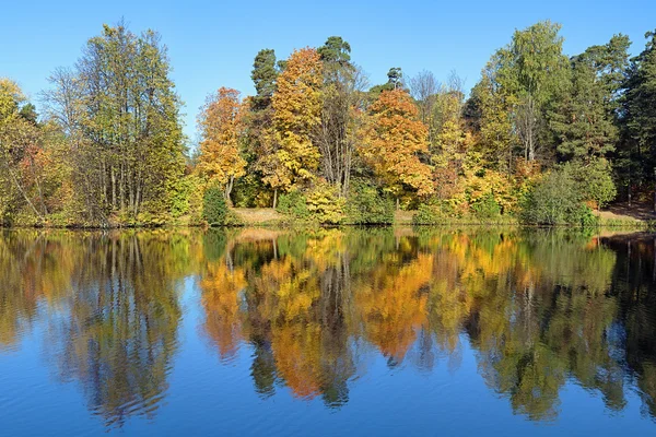 Symmetrical landscape with trees reflecting in a lake in autumn
