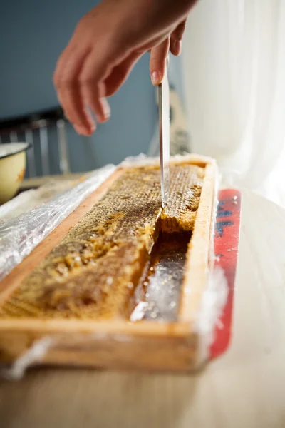 Man cuts off a piece of honeycomb with honey