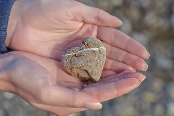 Hearth shaped stone in a womans hands