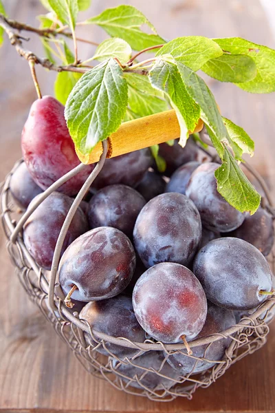 Purple plums in a basket