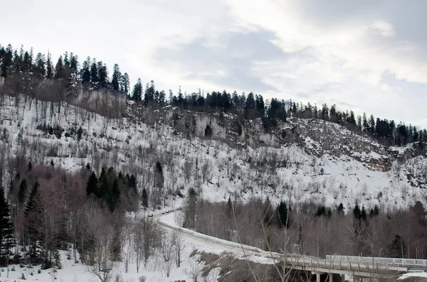 Winter in the Caucasus