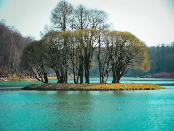 Islet in Tsaritsino