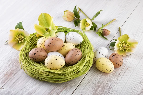 Easter nest with easter eggs on light wood