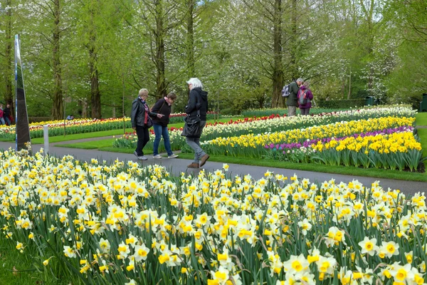 KEUKENHOF GARDEN, NETHERLANDS - APRIL 08: Keukenhof is the world\'s largest flower garden with 7 million flower bulbs on an area of 32 hectares. Keukenhof Garden, Lisse, Netherlands - April 08, 2014.