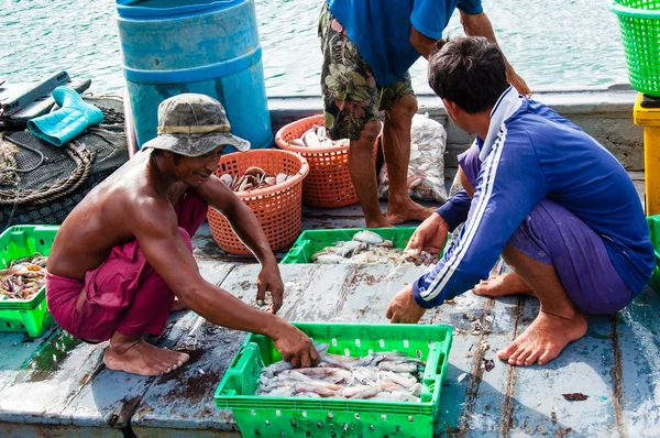 Thai fishermen sorting day capture at Baan AoYai Salad fishing village on Koh Kood Island, Thailand