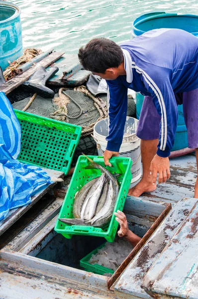 Thai fishermen sorting day capture at Baan AoYai Salad fishing village on Koh Kood Island, Thailand