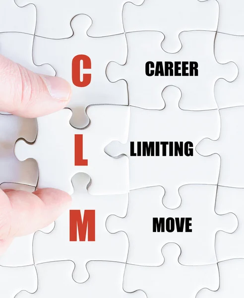 Last puzzle piece with Business Acronym CLM