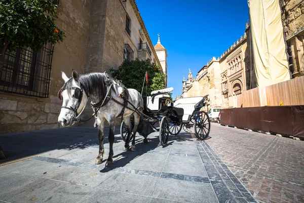Traditional Horse and Cart at Cordoba Spain - travel background