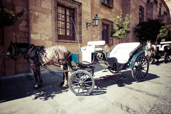 Cordoba,Spain-March 11,2015:Traditional Horse and Cart at Cordob