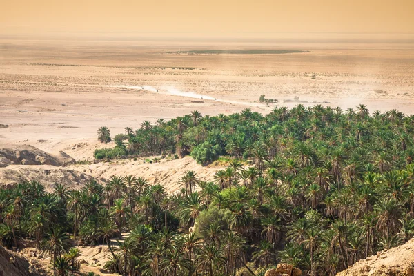 Mountain oasis Chebika at border of Sahara, Tunisia, Africa