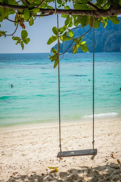 Swing hang from coconut tree over beach, Phi Phi Island, Thailan