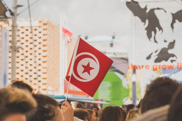 Detail of Tunisian flag at Expo 2015 in Milan, Italy