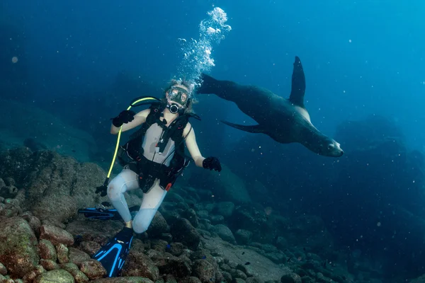 Beautiful blonde girl playing with sea lion underwater