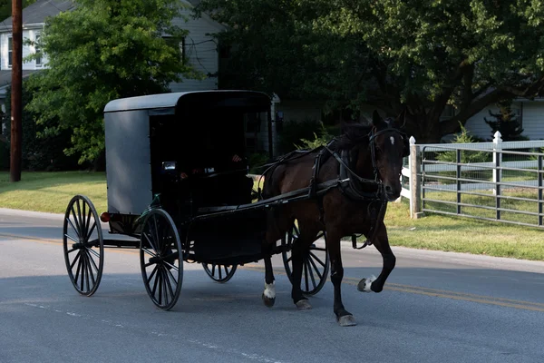 Wagon buggy in lancaster pennsylvania amish country