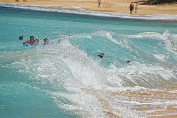 Children playing in sea waves in hawaii