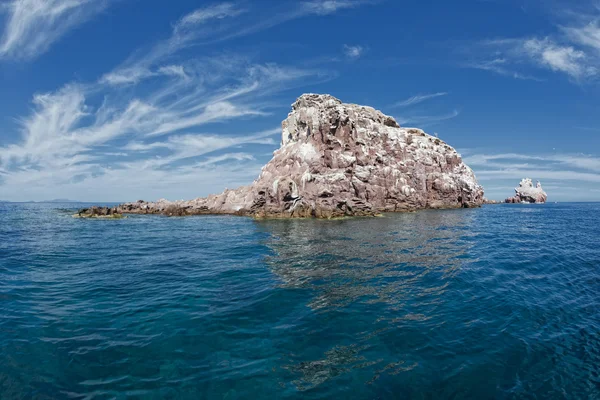 Los islotes seal island in mexico baja california