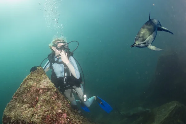 Beautiful blonde girl approached by a dolphin