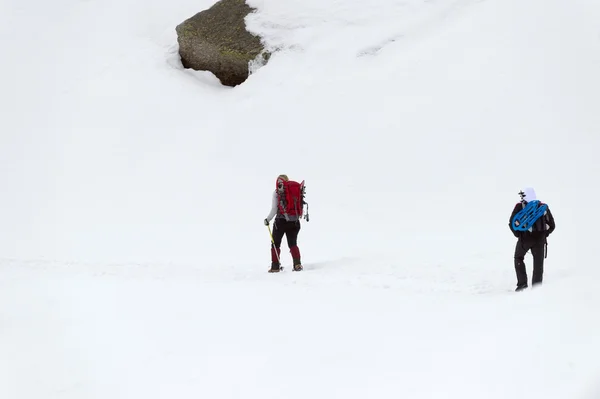 Isolated snow shoe trekker