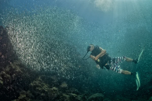 Diver going Inside a school of fish underwater
