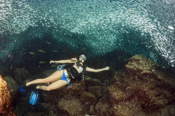 Beaytiful Latina Diver Inside a school of fish