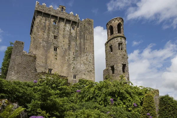 Blarney Castle - Cork - Ireland