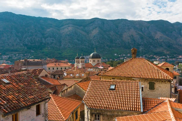 Red roofs of old town Kotor, Montenegro
