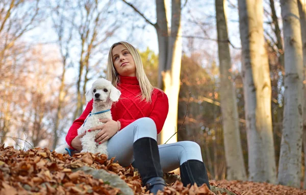 A girl with her dog in colorful autumn