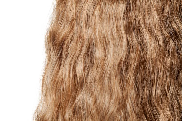 Curly human hair