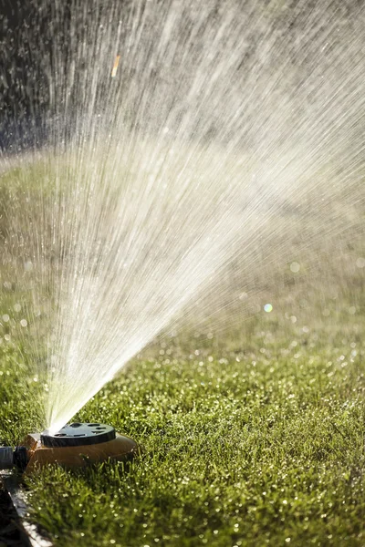 Lawn watering