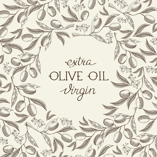 Olive extra virgin. Hand drawing background. vintage style