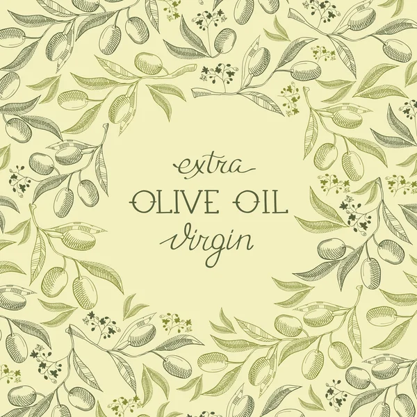 Olive extra virgin. Hand drawing background. vintage style