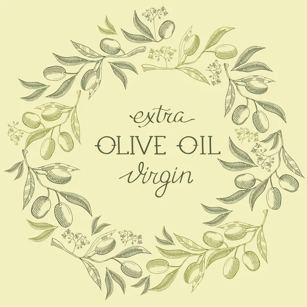 Olive extra virgin. Hand drawing background. vintage style on the green background