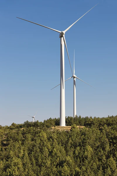 Wind turbines in a forest. Clean alternative renewable energy