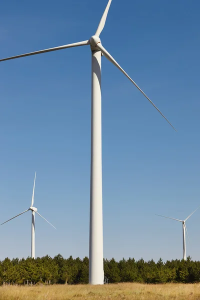 Wind turbines in the countryside. Clean alternative renewable en