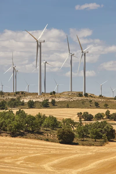 Wind turbines in the countryside. Clean alternative renewable en