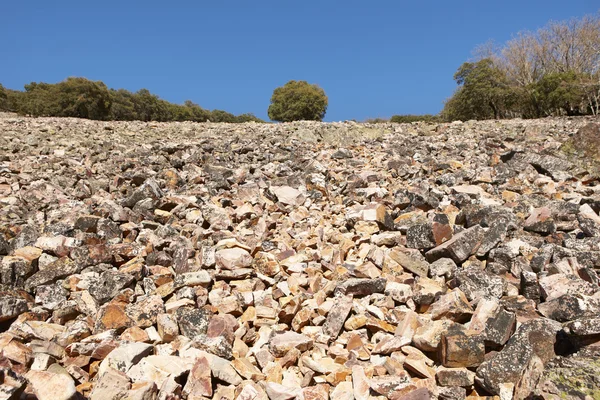 Landscape with rocky ground and trees in Cabaneros, Spain