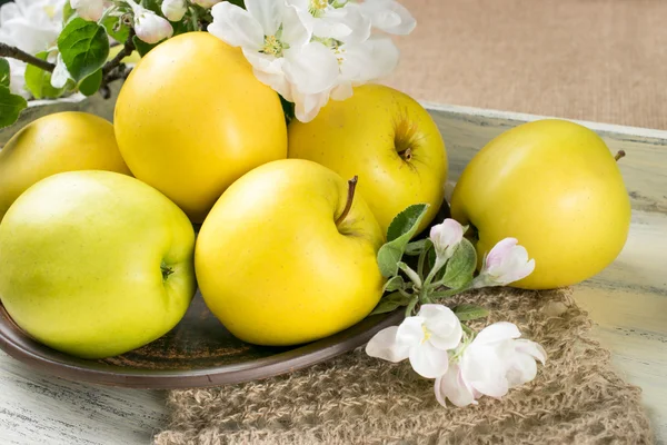 Still life with apples and twig of apple tree on the tray