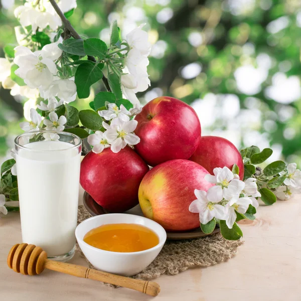 Still life with apples, milk, honey and twig of apple tree