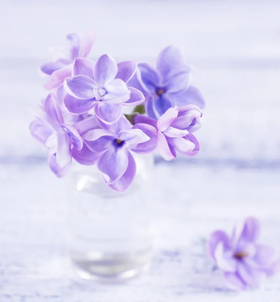 Lilac flowers in a small glass bottle