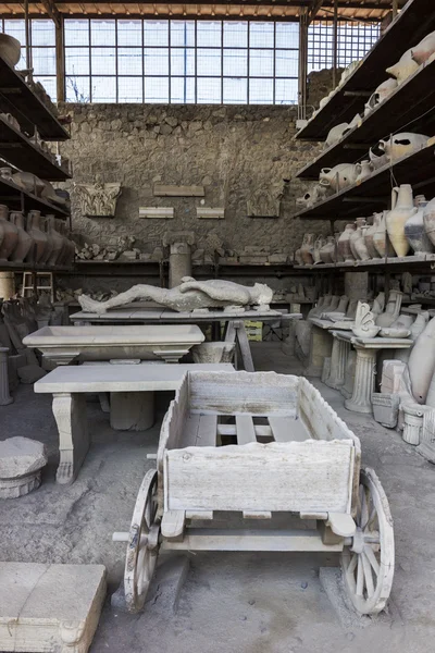 Pompeii plaster casts