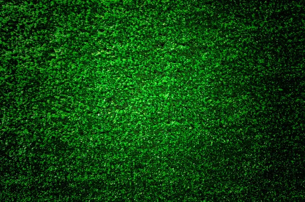 Artificial grass wall. Artificial turf. Thin green plastic
