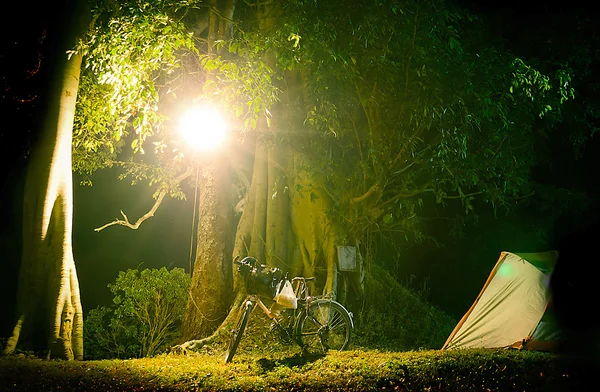 Bicycle Touring Camping at Night Time