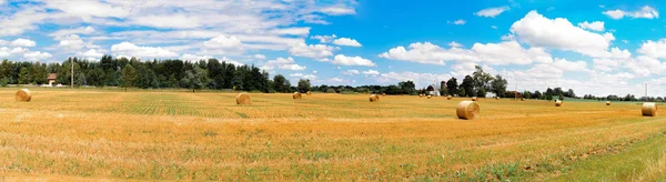 Panorama_Mown