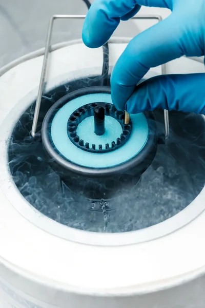 Cryostorage of sperm samples or oocytes, in vitro fertilization process close up.