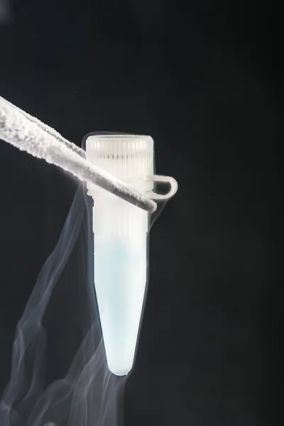 Cryogenic vial on liquid nitrogen bank.