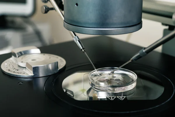 In vitro fertilization process close up.  Equipment on laboratory of Fertilization, IVF.