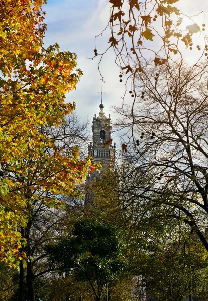 The Clerics Tower (Torre dos Clerigos) in autumn, Porto, Portuga