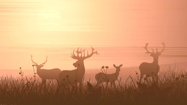 Horizontal illustration of wild animals on meadow.
