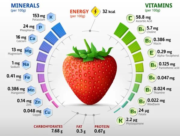 Vitamins and minerals of garden strawberry