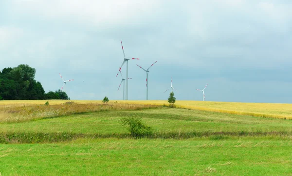 Wind-driven generator in the middle of a field